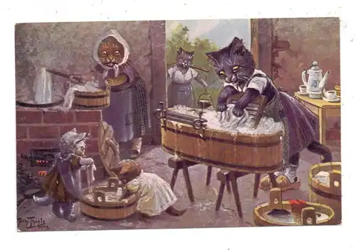 KATZEN / Cats / Chats - Künstler-Karte Arthur Thiele, Waschtag, Theo Ströfer, Serie 1881