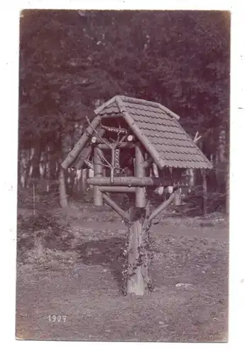 3052 BAD NENNDORF, Vogelhaus, Photo-Ak, Foto Fritz Lang