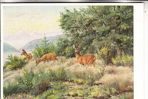 JAGD - HUNTING - JACHT - CHASSE - CACCIA - CAZA - LOWIECTWO - Rehe, Künstler-Karte F.Reimann
