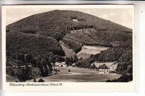 5948 SCHMALLENBERG - GRAFSCHAFT, Wilzenberg, 1950