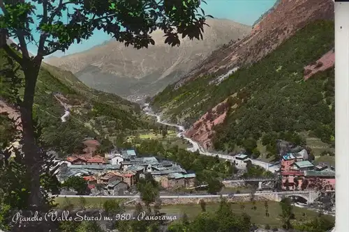 I 12010 PIANCHE / Valle Stura, Panorama, 1960