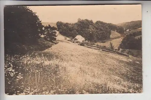 5628 HEILIGENHAUS, Blick vom Weinberg ins Paradies, 193...