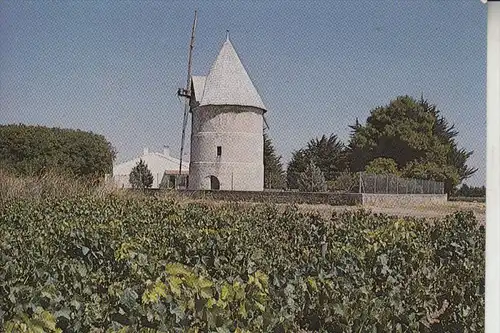 WINDMÜHLE / Mill / Molen / Moulin - ILE D'OLERON, Moulin de la Bree