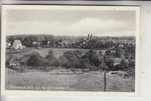 5090 LEVERKUSEN - SCHLEBUSCH, Blick von der Steinrütsche, 1955