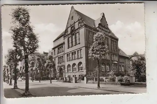 4440 RHEINE, Gymnasium, 1962