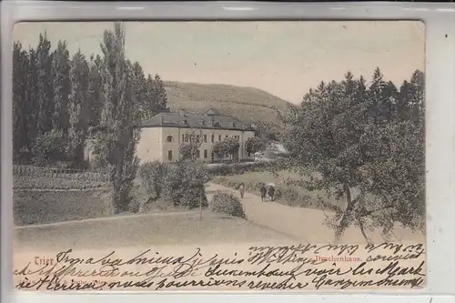 5500 TRIER - PALLIEN, Drachenhaus, 1904