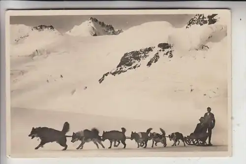 HUNDE - Schlittenhunde / Polarhunde, Jungfraujoch / CH, 1930