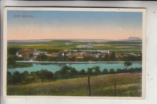 CSR 27701 DOLNI BERKOVICE / UNTER BERSCHKOWITZ, Panorama, 1913