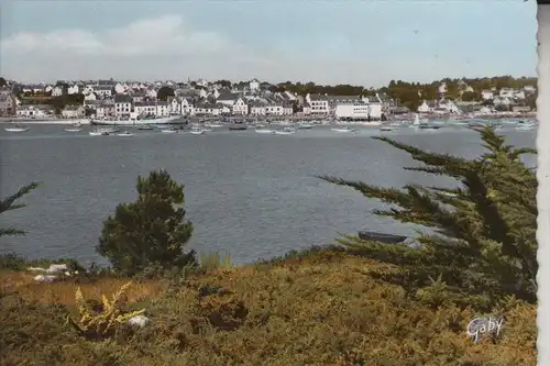 F 56470 LA TRINITE SUR MER,  Vue generale, CPSM