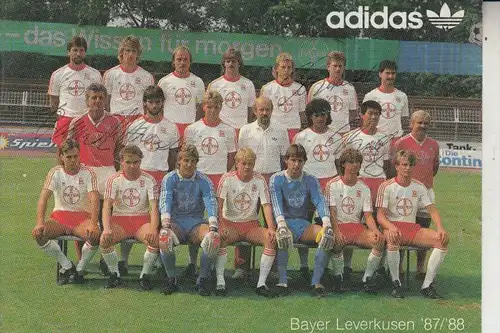 SPORT - FUSSBALL - BAYER LEVERKUSEN - Mannschaftsphoto 1987/88, mit  Autogrammen
