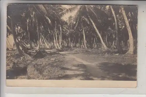 HONDURAS - LA CEIBA, Photo-AK, 1913