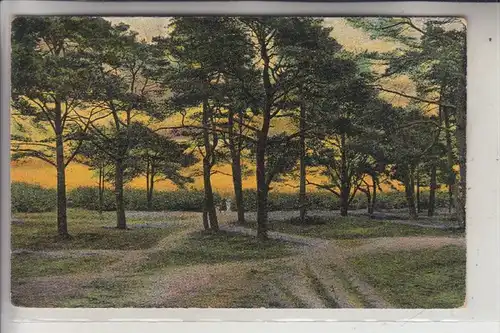 NL - UTRECHT - BAARN, Boschrand, ca. 1905