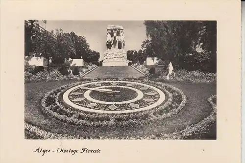 BLUMENUHR / Flower Clock / Horloge Fleurie / Bloem Klok / Reloj de Flores / Fiore Orologio -  ALGIER / ALGER