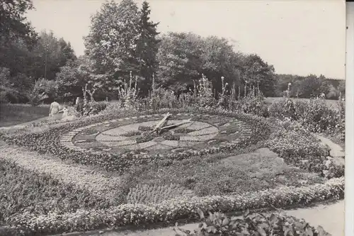 BLUMENUHR / Flower Clock / Horloge Fleurie / Bloem Klok / Reloj de Flores / Fiore Orologio -  CIECHOCINEK / PL
