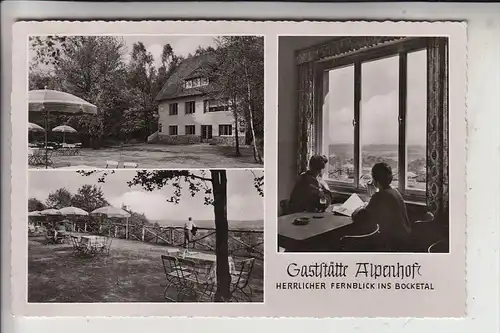 4530 IBBENBÜREN - SCHAFBERG, Gaststätte Alpenhof, 1954