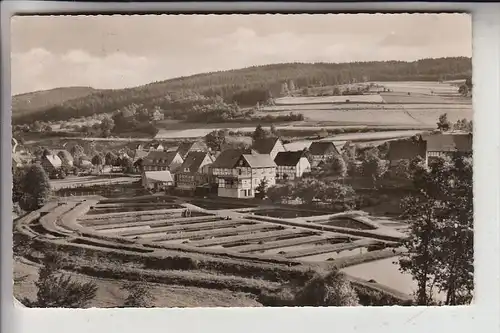 5942 KIRCHHUNDEM - ALBAUM, Blick auf Teichanlagen der Landesfischanstalt, 1958