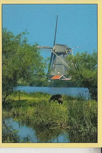 MÜHLE - WINDMÜHLE / Molen / Mill / Moulin - KINDERDIJK