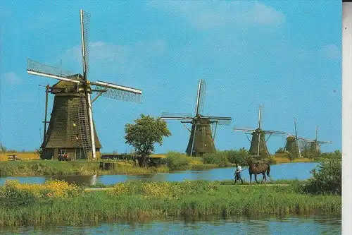 MÜHLE - WINDMÜHLE / Molen / Mill / Moulin - KINDERDIJK