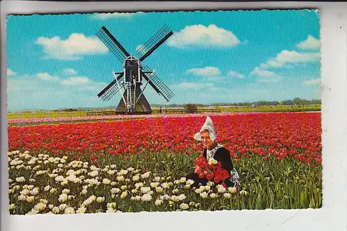 MÜHLE - WINDMÜHLE / Molen / Mill / Moulin - Molenland