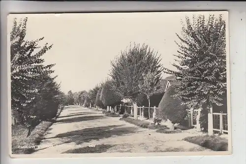 UK - ENGLAND - SUSSEX - RUSTINGTON, Cudlow Av. , 1958