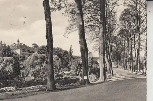 4505 BAD IBURG, Blick von der Rennbahn auf Schloß Iburg, 195...