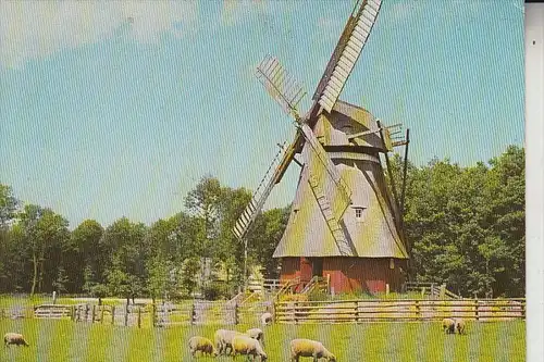 MÜHLE - WINDMÜHLE / Molen / Mill / Moulin - CANTRUP / Museum Kommern