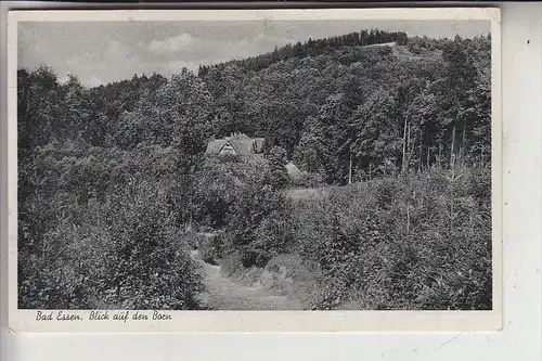 4515 BAD ESSEN, Blick auf den Born, 1954