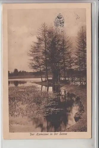 4790 PADERBORN - NEUHAUS - SENNELAGER, Der Hanesee in der Senne 1914