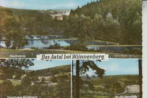 4798 BAD WÜNNENBERG, Das Aatal bei Wünnenberg 1965