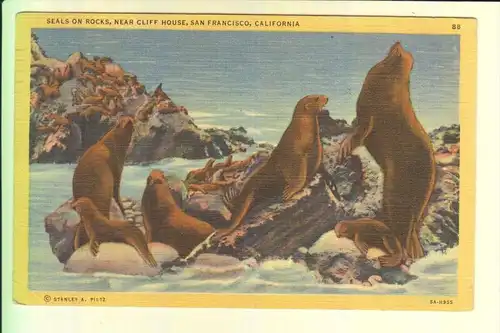 TIERE - SEEROBBEN / SEALS - San Francisco near Cliff House, 1946, Piltz/SF