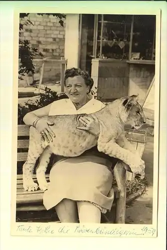 TIERE - LÖWEN - Privat-Photo-AK, 1960