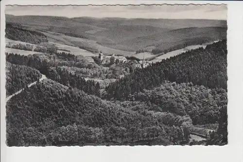 5920 BAD BERLEBURG, Fernblick auf Schloss Wittgenstein, 1961