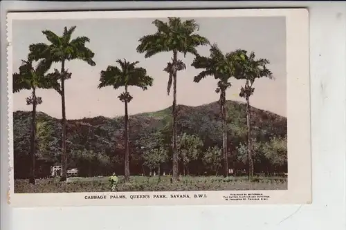 TT - TRINIDA TOBAGO, Trinidad Cabbage Palms, Queens Park, Savana 1913