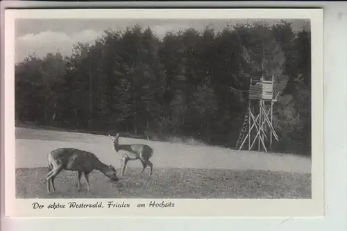 JAGD - Hunting - Jacht - Chasse - Caccia - Caza - Lowiectwo / Hochsitz Westerwald