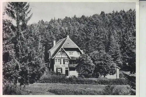 7731 UNTERKIRNACH - GROPPERTAL, Gasthaus und Pension "Forelle" 1960