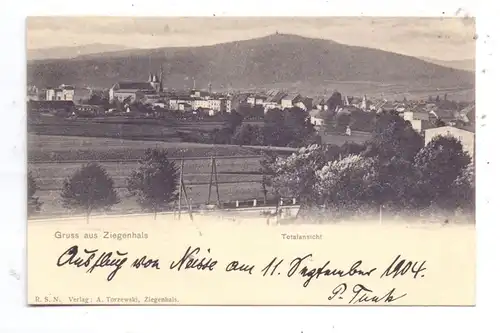 OBER-SCHLESIEN - BAD ZIEGENHALS / GLUCHOLAZY, Gruss aus..., Totalansicht, 1904