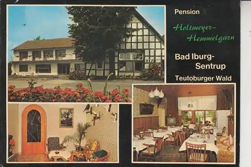 4505 BAD IBURG - SENTRUP, Pension Holtmeyer-Hemmelgarn