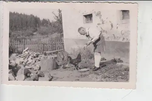 5530 GEROLSTEIN, Photo-AK, Photohaus Mauche-Gerolstein