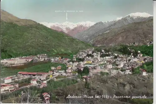 I 13811 ANDORNO MICCA, Panorama generale 1969