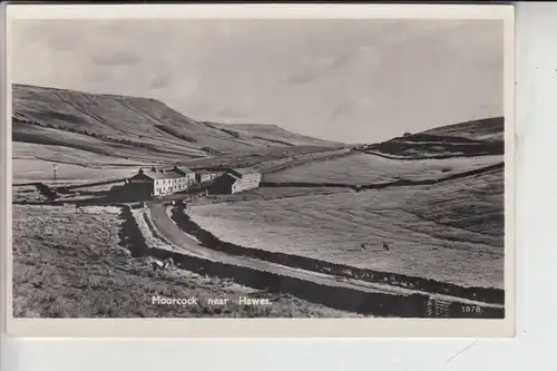 UK - ENGLAND - North Yorkshire - Moorcock near Hawes