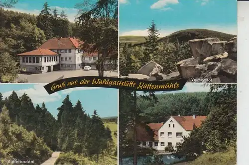 4934 HORN - BAD MEINBERG, Horn, Waldgaststätte Kattenmühle, Mehrbildkarte