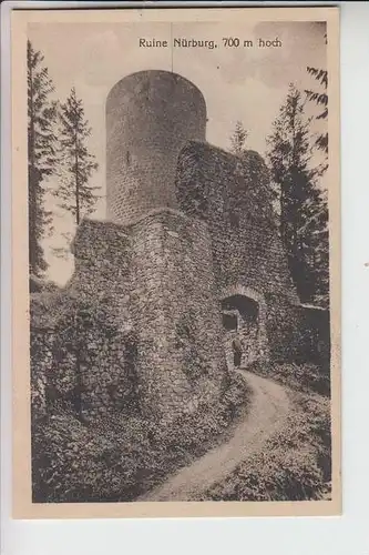 5488 ADENAU, Ruine Nürburg