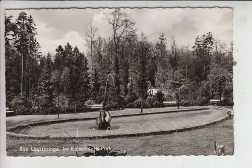 4792 BAD LIPPSPRINGE, Kaiser-Karls-Park 1963