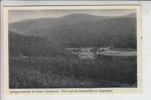 5790 BRILON, Blick ins Hoppecketal - Pulvermühle 1940