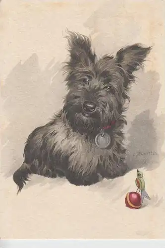 TIERE - HUNDE - SCOTCH-TERRIER 1950