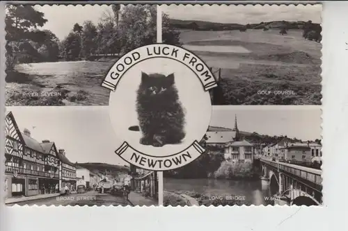 UK - WALES - MONTGOMERYSHIRE - NEWTOWN, Good Luck from... 1960