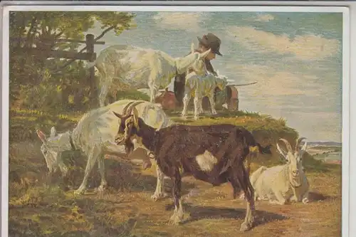 TIERE - ZIEGEN - Goats - Geiten - Chevres - Künstler-Karte P.Junghanns