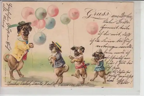 TIERE - HUNDE - MOPS - PUG - CARLIN - CARLINO - MOPSHOND - DOGUILLO, Lithographie 1900