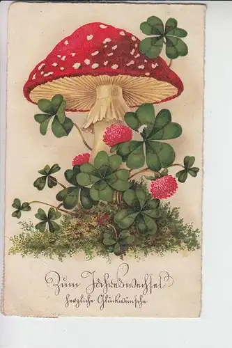 BOTANIK - PILZE - Mushrooms - Funghi - Champinons - Glückwunschkarte1936