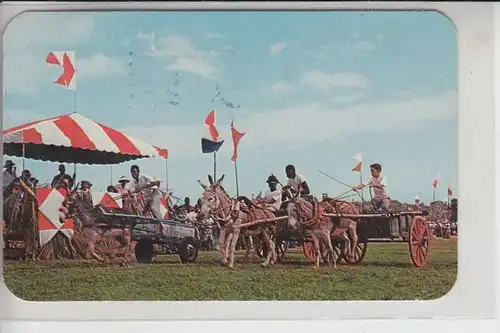 AMERIKANISCH ANTILLEN - St.Croix - Jonkey-Club, Donkey Cart Race